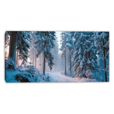 Silent Frost Path Wrapped Canvas Wall Art