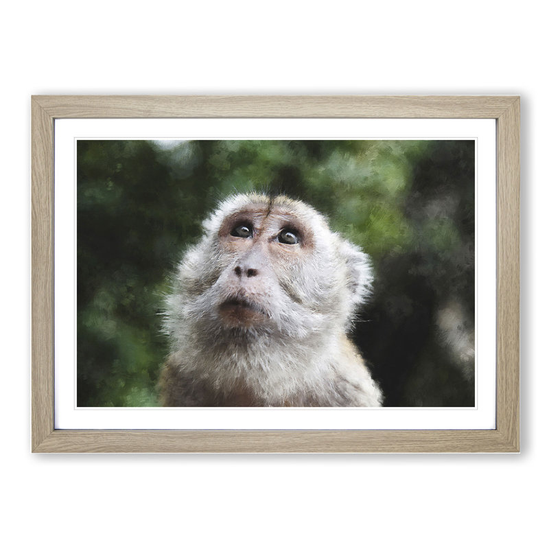 Macaque Monkey - Framed Print, Oak Framed, 48cm H x 65cm W x 2cm D
