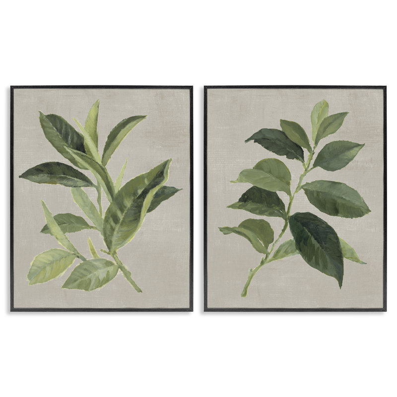 «Green Tea & Coffee Plant Leaves», ensemble de 2 giclées encadrées, design par Lanie Loreth, H 14 po x l 11 po