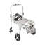 Fauteuil roulant pour chien Fauteuil roulant réglable pour les pattes arrière