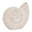 Trish Coastal Shell Polyresin Figurine Set of 2 – Decorative Sculptures for Home Decor, Living Room Tabletop & Shelf Accents - 7",  Distressed White & Beige
