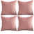Rose est en rupture de stock