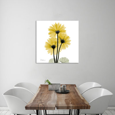 "Golden Gerbera 2", toile tendue par Albert Koetsier