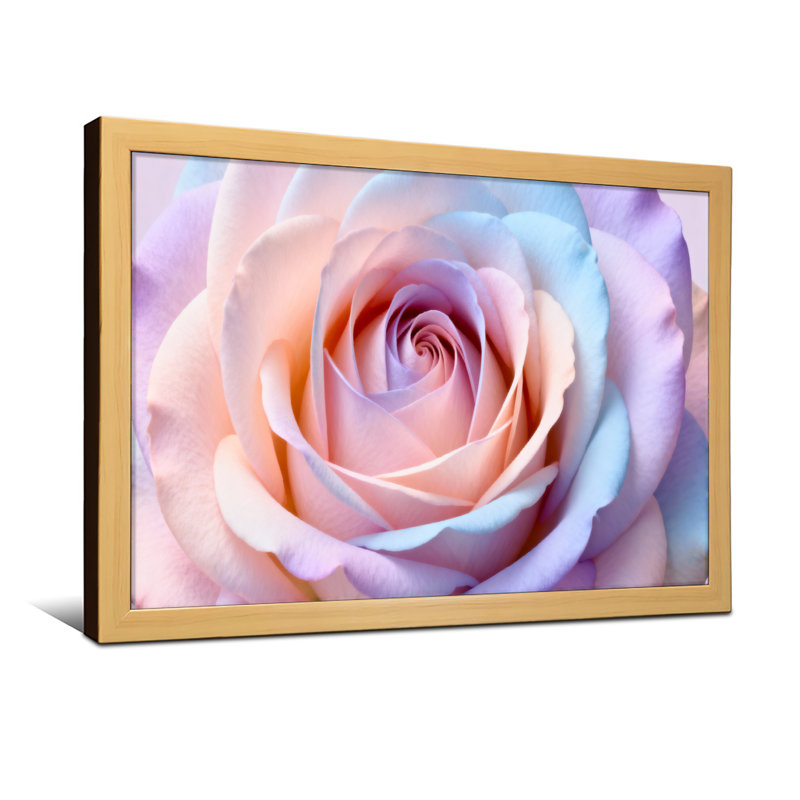Plantes et fleurs, reproduction de pétales de rose pastel, H 20 po x l 30 po, Toile tendue, Ne s’applique pas