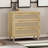 Aidelyn Accent Chest-848795981