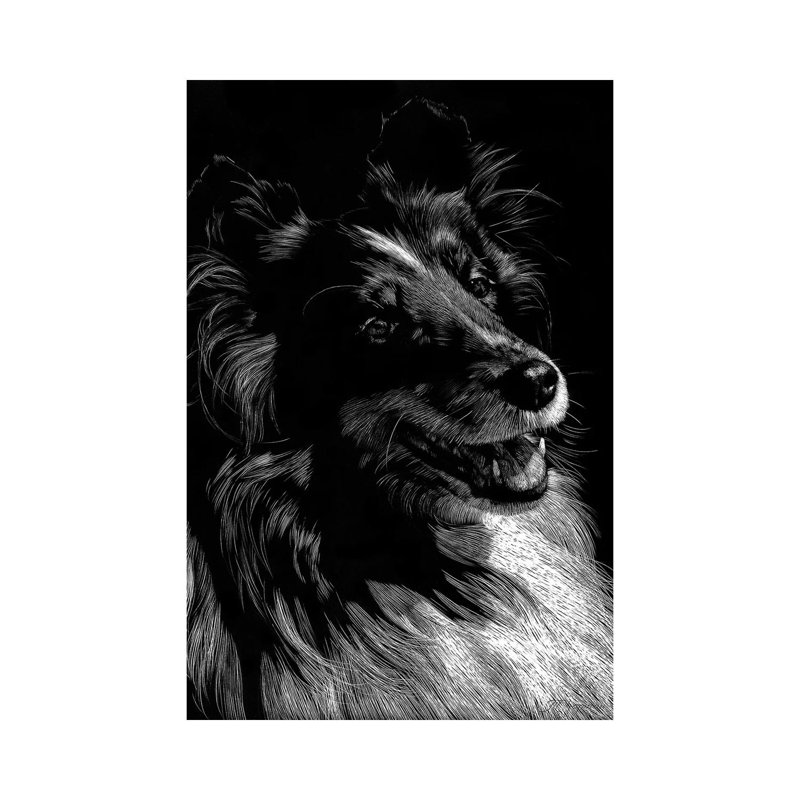 Canine Scratchboard XI 1 Piece Wrapped Canvas Wall Art, 20.32 cm H x 30.48 cm W