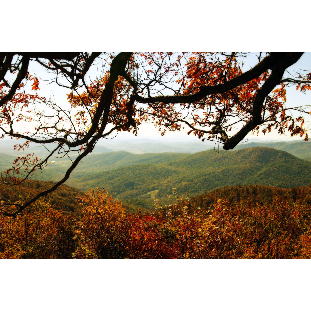 Autumnal Tree Branch von Hillwoman2 - Kunstdrucke auf Leinwand