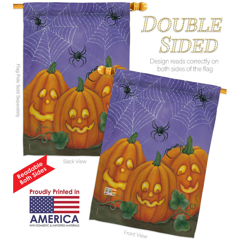 Double Sided 40'' H x 28'' W Polyester Halloween House Flag