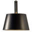 1 - Light Swing Arm