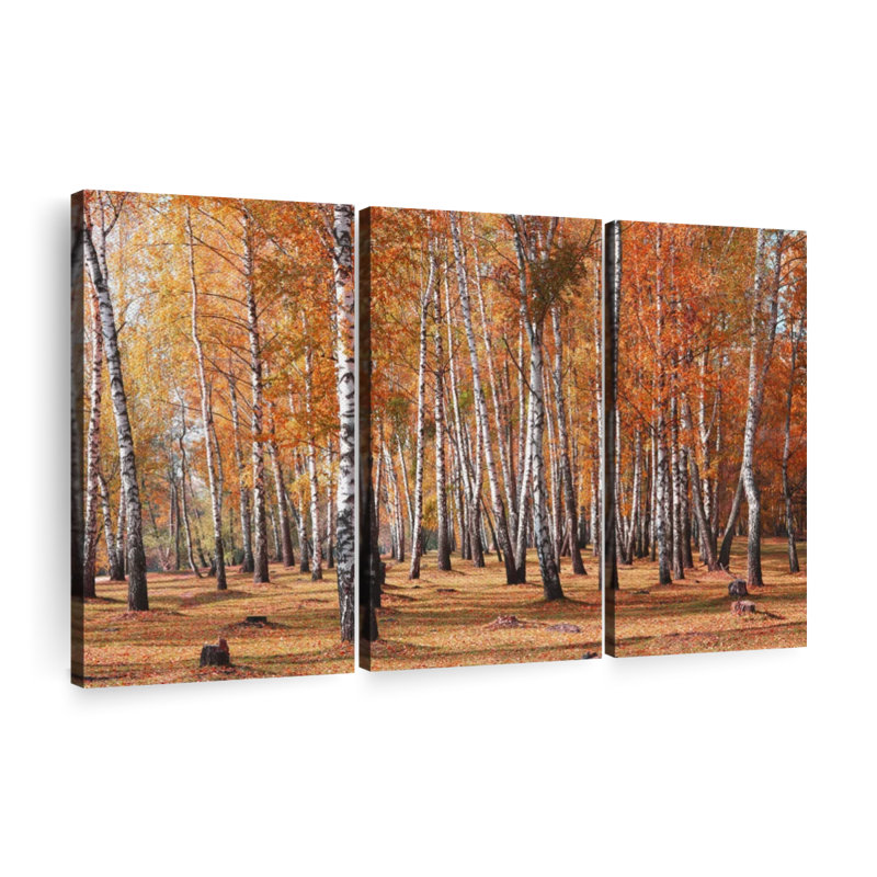 «Birch Tree Forest In Fall», 3 pièces, H 36 po x l 57 po