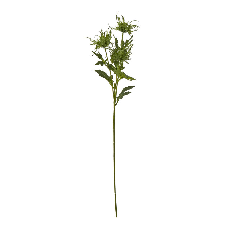 Sea Holly Spray, Green