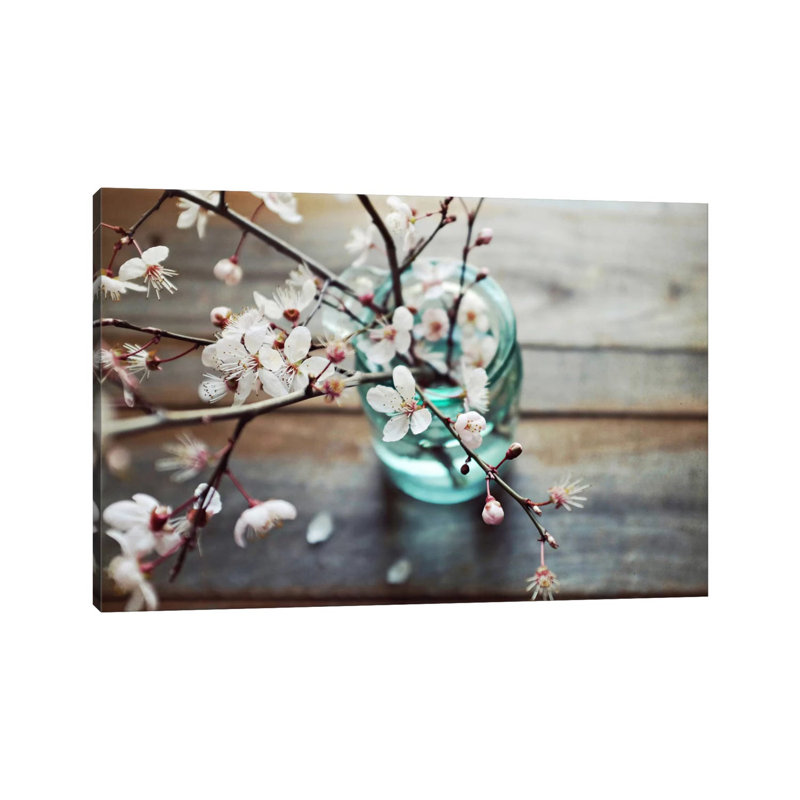 Fallen Petals by Lupen Grainne - Wrapped Canvas Print, 20.32cm H x 30.48cm W x 1.91cm D