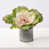 Rose est en rupture de stock