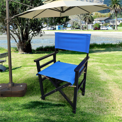 Enger Folding Director Chair