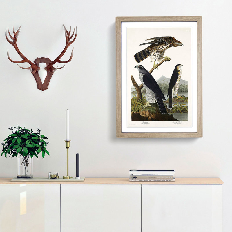 Goshawks & Stanley Hawk by John James Audubon - Picture Frame Painting Print, 36cm H x 27cm W x 2cm D, Oak Framed