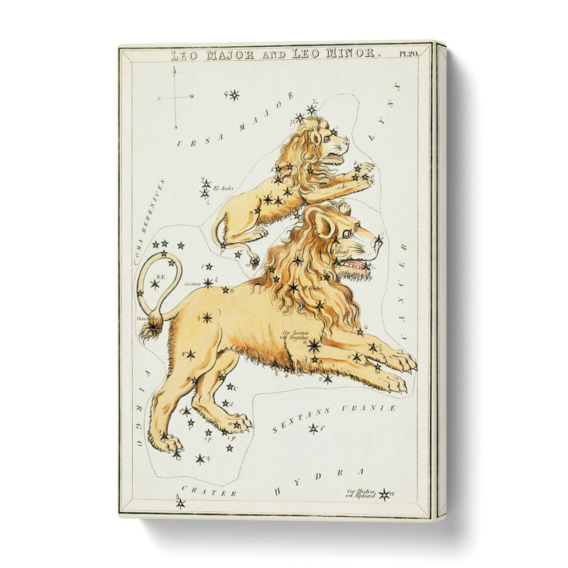 Astronomical Zodiac Chart Of The Leo Constellation - Wrapped Canvas Print, 50 cm H x 35 cm W