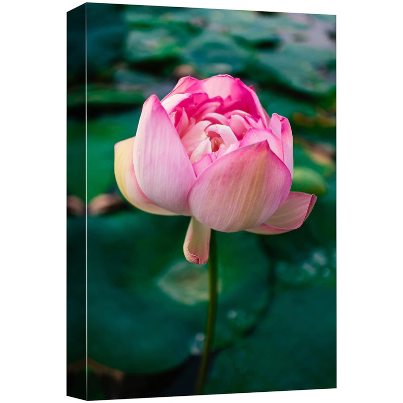 «Vibrant Pink Floral Water Lily», reproduction sur toile tendue, H 36 po x l 24 po x P 1,5 po