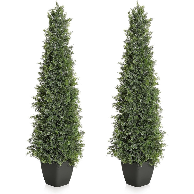 35.43cm Plant