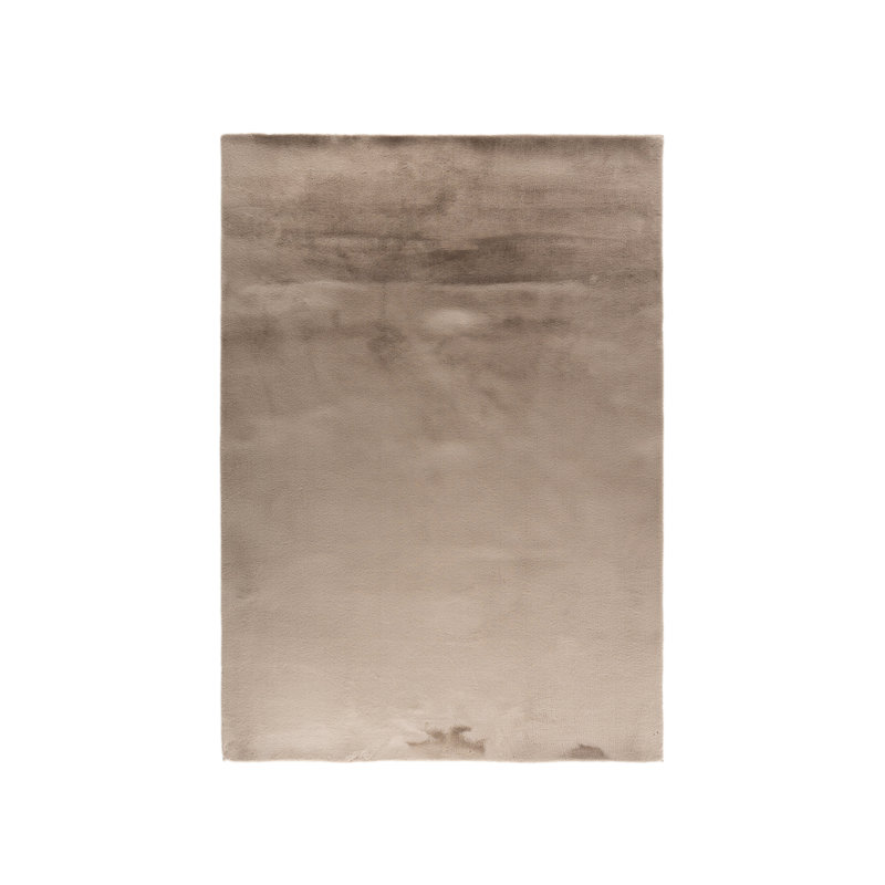 Anndria 200cm X 290cm Area Rug