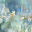 Morning Meadow II par Kate Carrigan - Estampe numérique sur toile tendue avec châssis-20936525-72037369-72037374