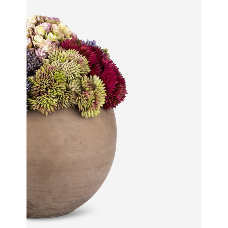 Elias Sedum Arrangement, Purrple/Red/Blue