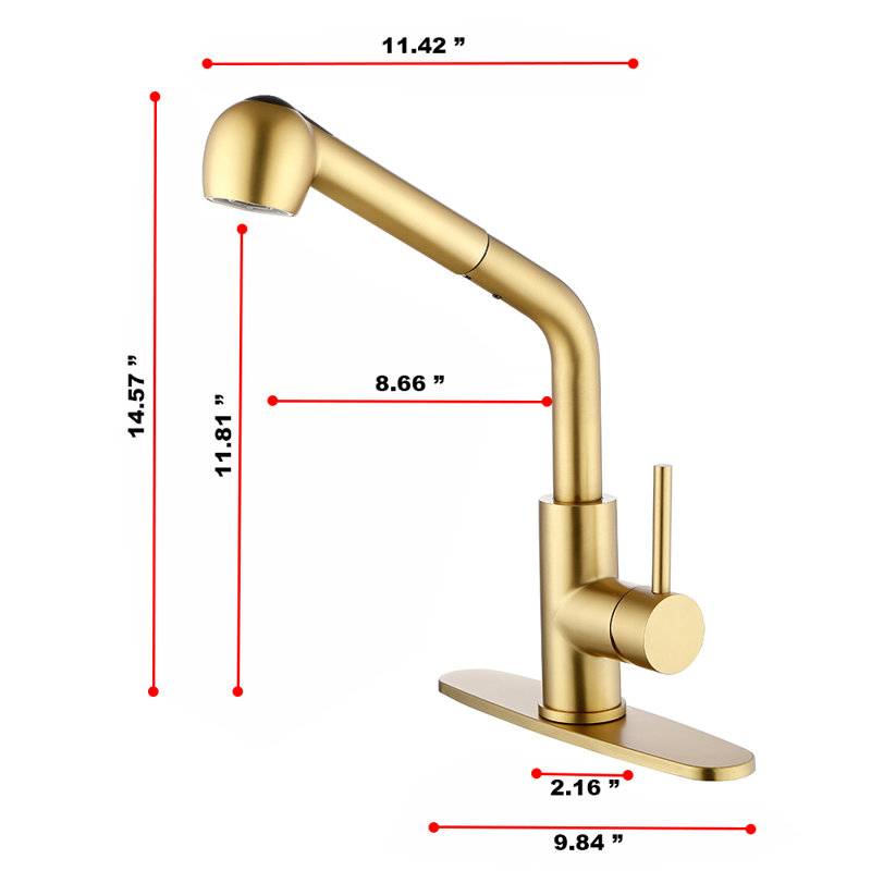 FB WERFY Pull Out Kitchen Faucet, Brushed  Gold