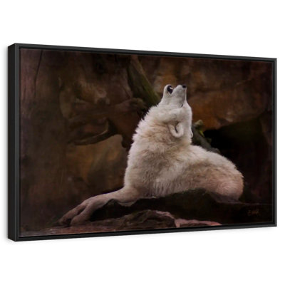 Loup blanc