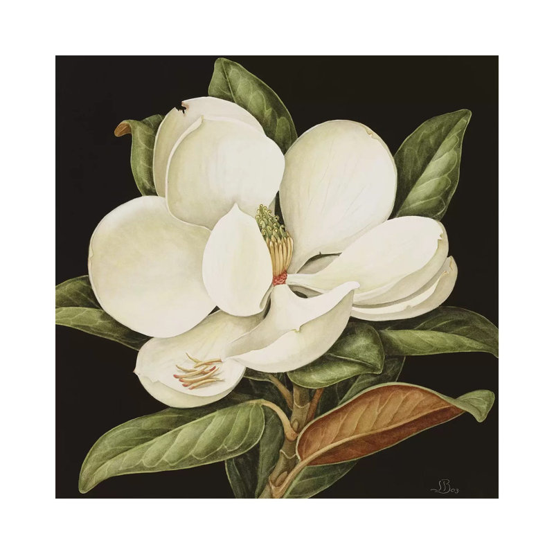 Magnolia Grandiflora, 2003 1 Piece Painting on Canvas, 93.98cm H x 93.98cm W x 1.91cm D, Wrapped Canvas