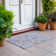 Machine Washable Indoor/Outdoor Cicel ACN1156 Lavender Rug