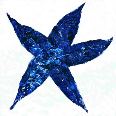 «Midnight Starfish» par Roey Ebert - peinture sur toile tendue