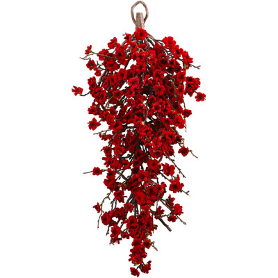 Tiges de fleurs de plumes