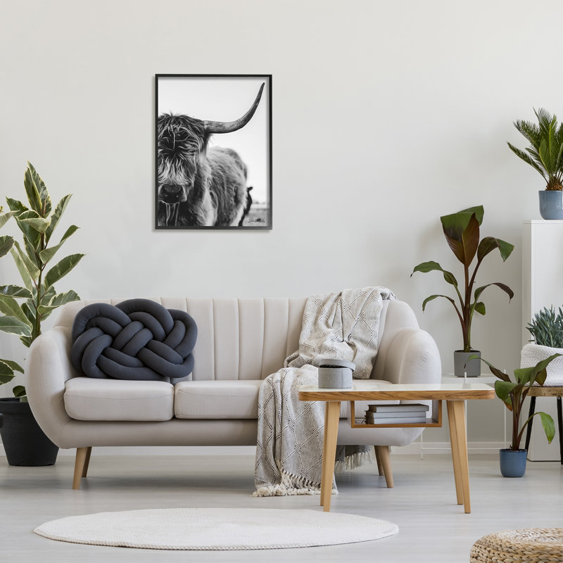 Gros plan sur une vache Highland, L 24 po x H 30 po, Giclée encadrée noir minuit