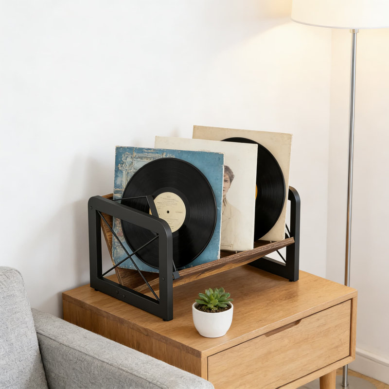 Support de rangement pour disque vinyle