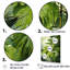 «Mossy Morning Palms II», reproduction sur toile-97026986-97026987