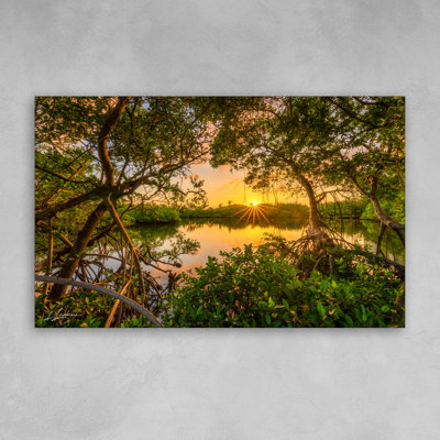 «Tangled in Golden Light» par Lawrence Leyderman - Art mural acrylique 20 po x 32 po