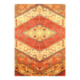 Shemena Hand Knotted Area Rug in Gold