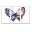 Papillon isolé - 3 pièces, cadre flottant, impression sur toile-1990928314-1990928325