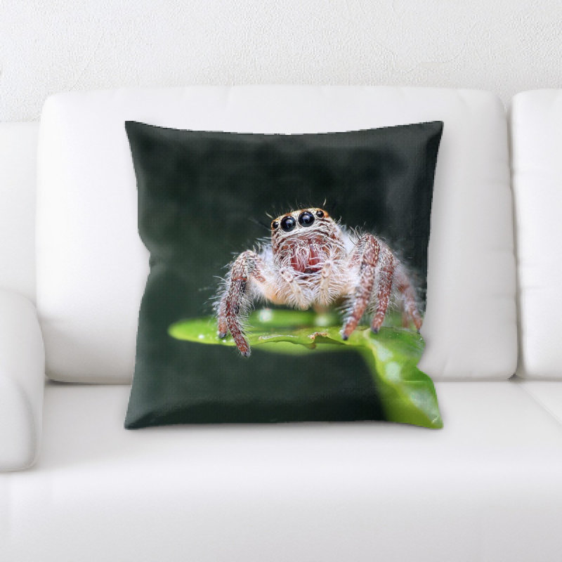 Coussin de spider saut