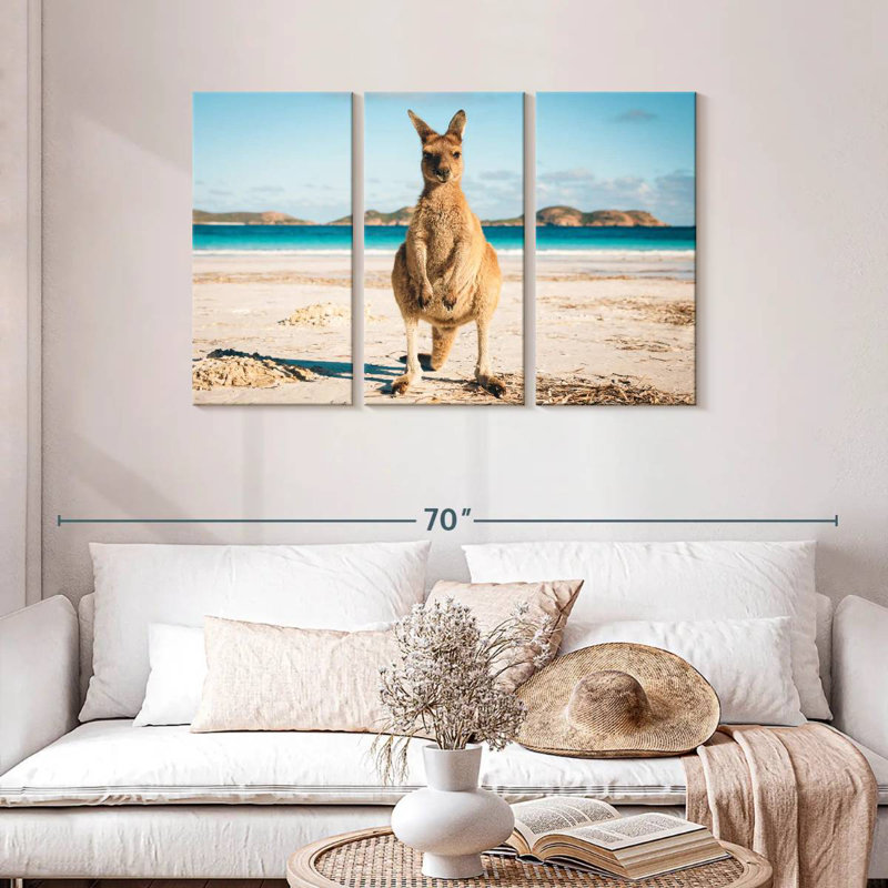 Kangourou Lucky Bay, H 28 po x l 45 po