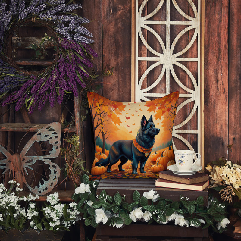 Other/No Pattern Outdoor Throw Pillow, 14" x 14"
