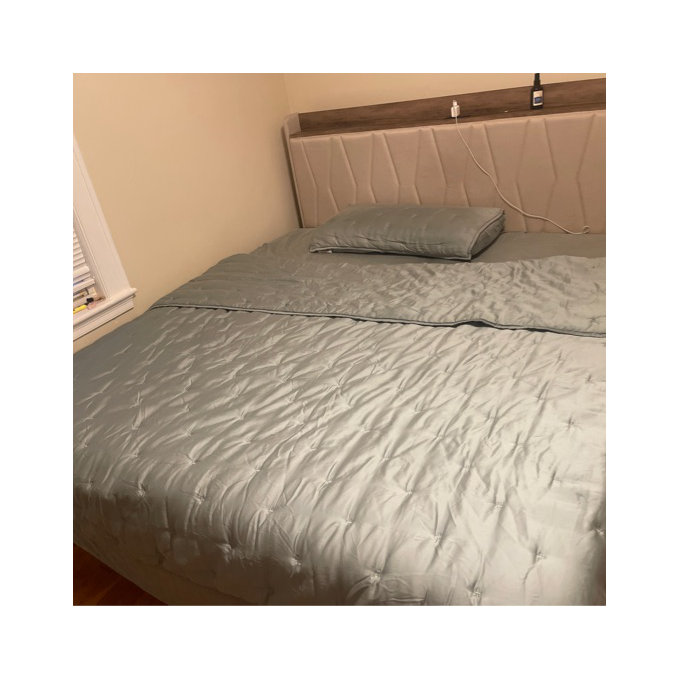 Aazon.co: Elegant Cofort Luxury Softest, Coziest 8 Piece Bed in a Bag Coforter Set   Silky