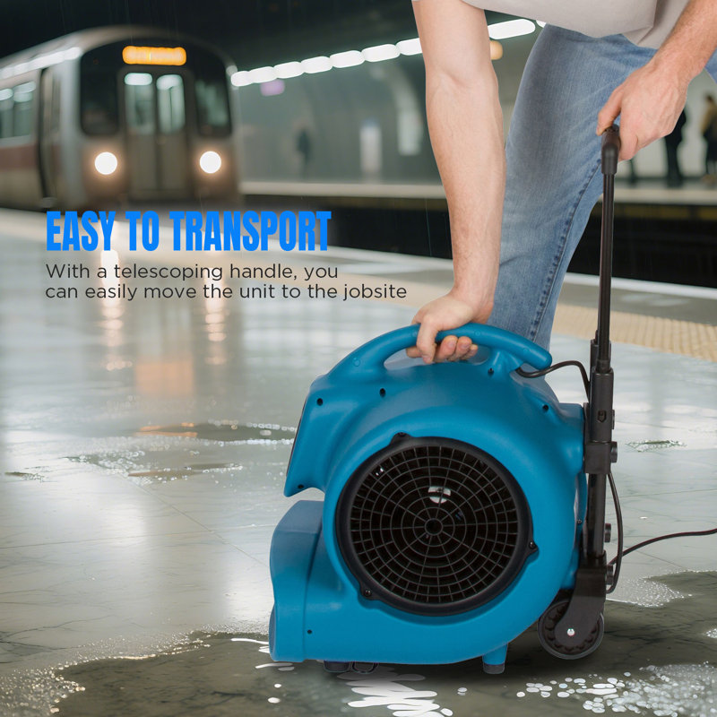 Ebern Designs 46.5cm Fan