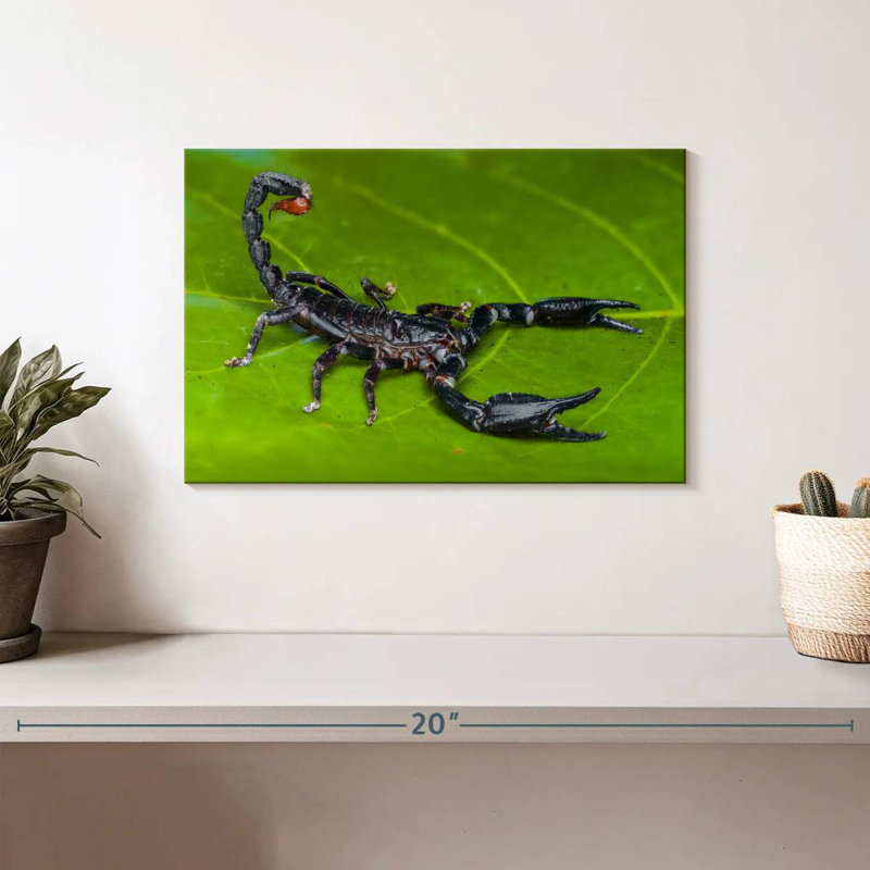 Crowle Forest Scorpion, 8" H x 12" W
