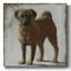 Carlin sur toile-61582887