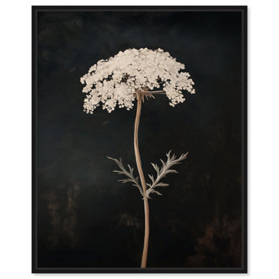 Darkling Floret I Canvas Print Farmhouse Art by Art Remedy
