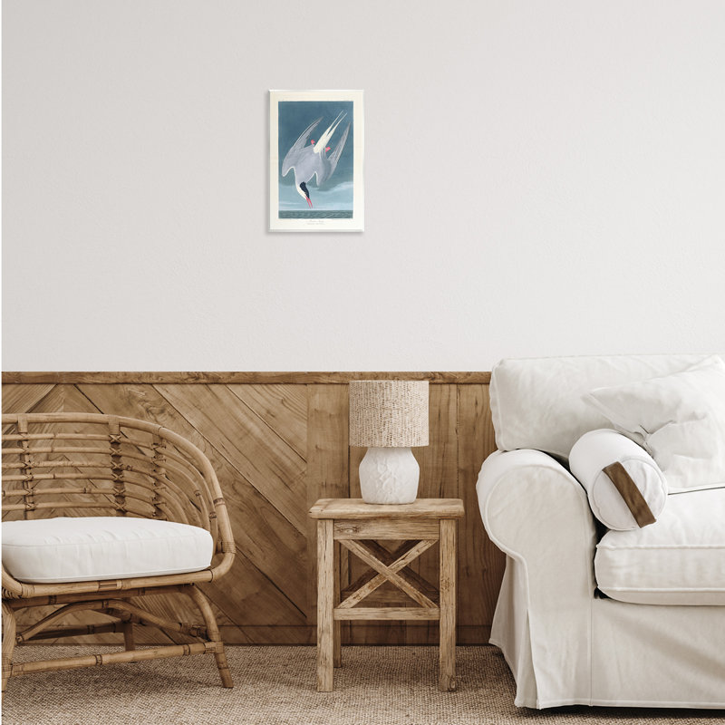 Art mural classique, sterne arctique par one1000paintings, H 15 po x l 10 po