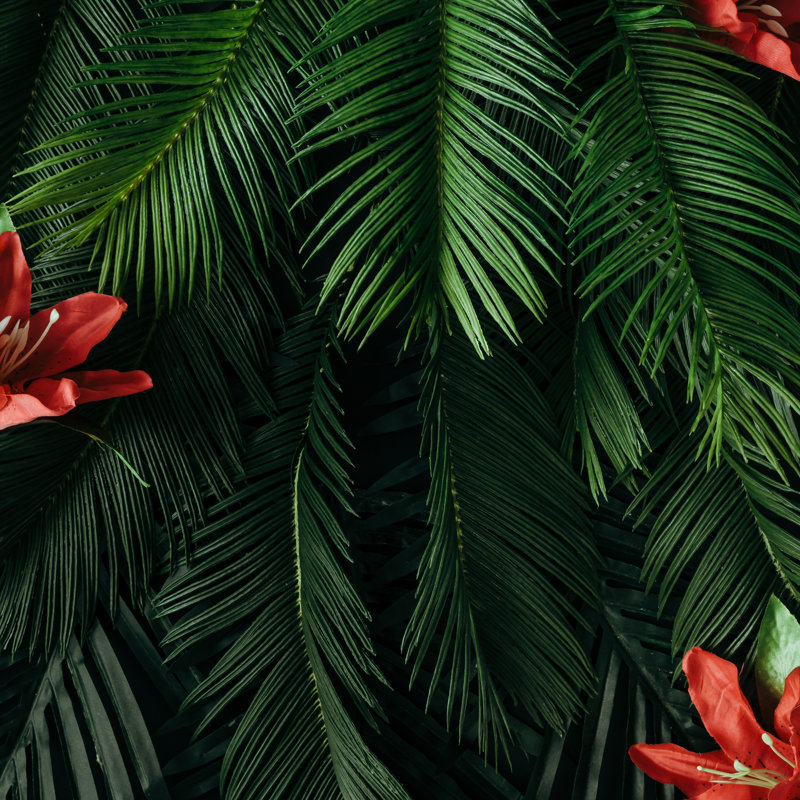 Tropical Leaves by Ivan101 - Wrapped Canvas Print, 30cm H x 30cm W x 3.8cm D