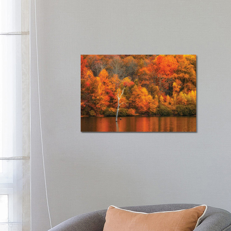 Jersey Fall by David Gardiner - Gallery-Wrapped Canvas Giclée on Canvas, Wrapped Canvas, 66.04 cm H x 45.72 cm W x 3.175 cm D