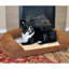 Lit orthopédique pour chien avec traversin-1087044878-1087044876