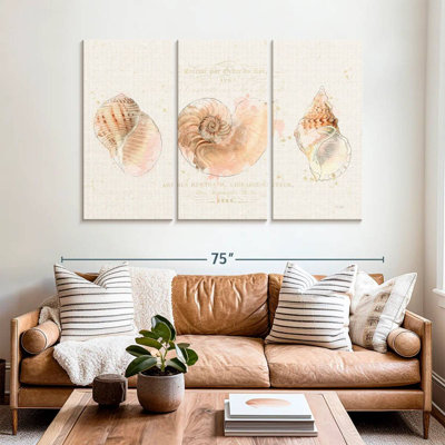 Aletra Pretty Shells Collection I